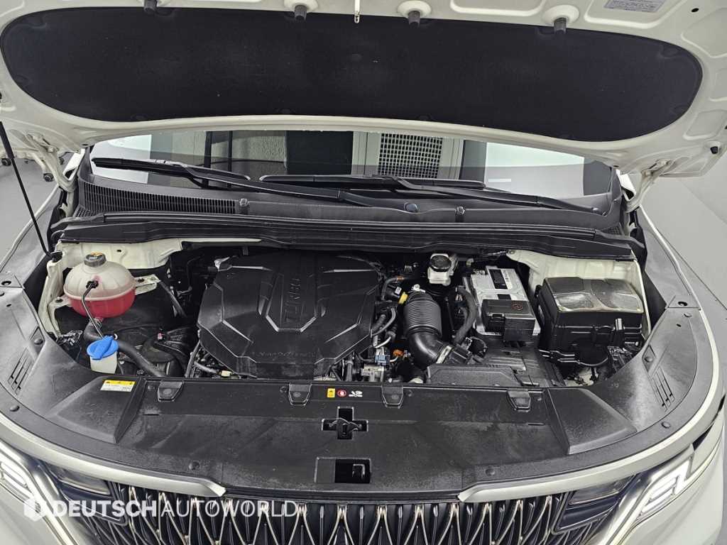 KIA Carnival - Vista 8