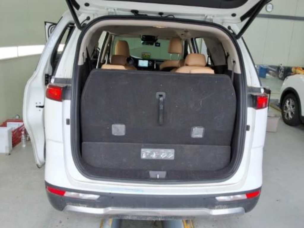 KIA Carnival - Vista 12