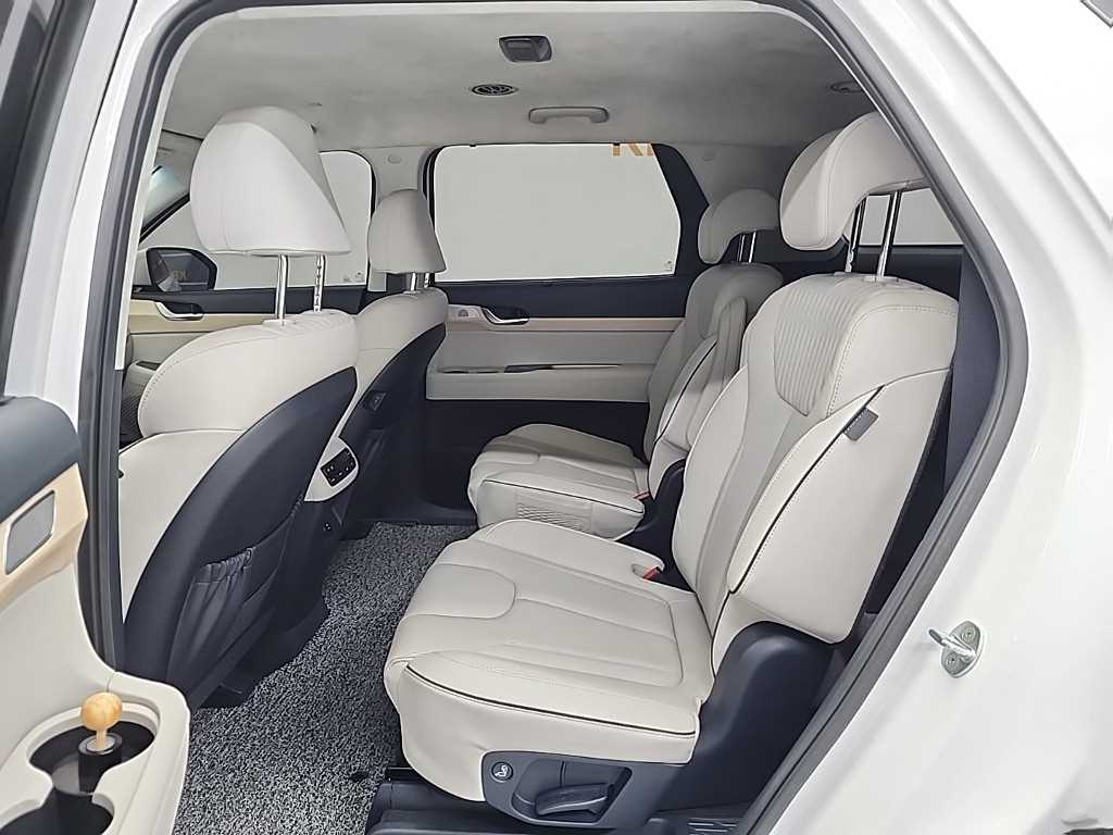 HYUNDAI Palisade - Vista 12