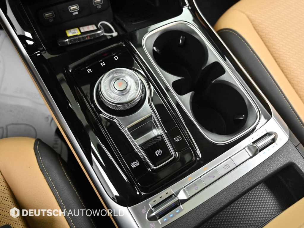 KIA Carnival - Vista 11