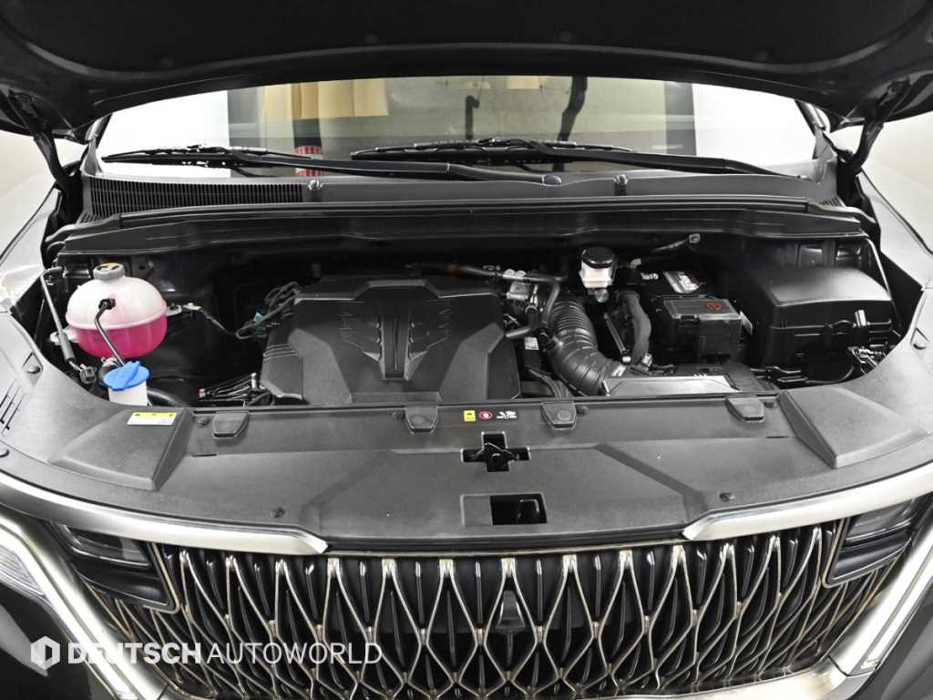 KIA Carnival - Vista 8