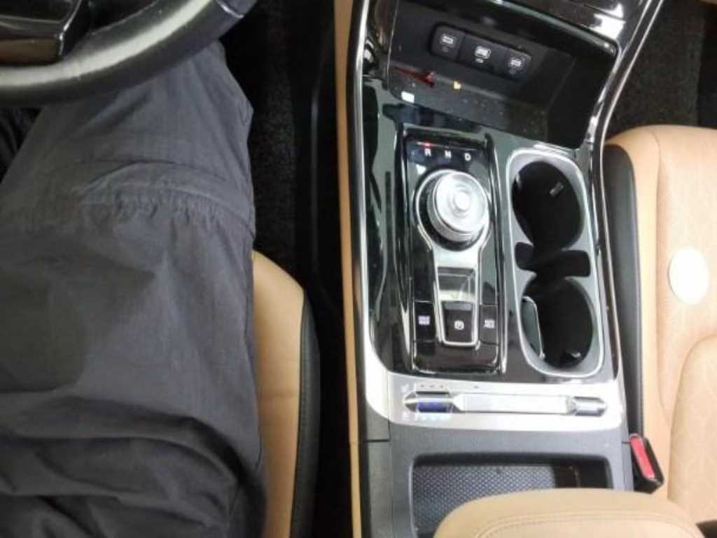 KIA Carnival - Vista 8