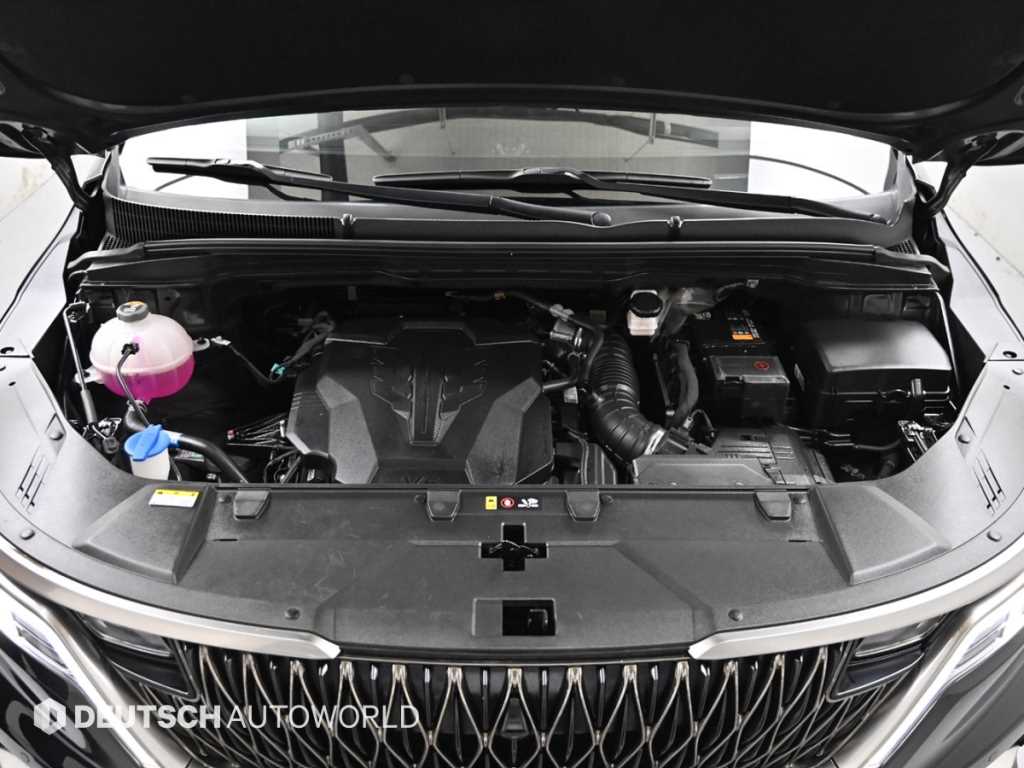 KIA Carnival - Vista 8