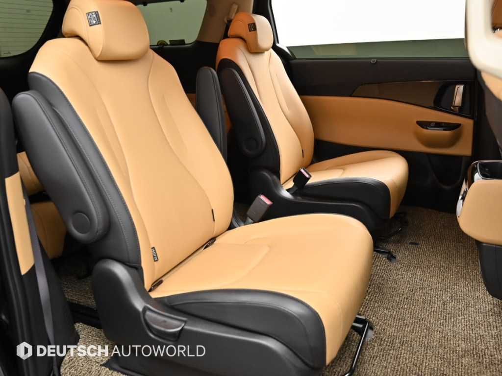 KIA Carnival - Vista 12