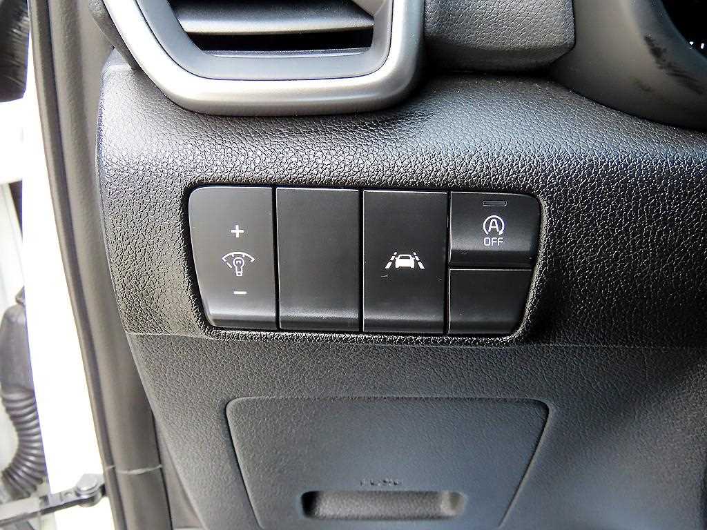 KIA Sportage - Vista 12