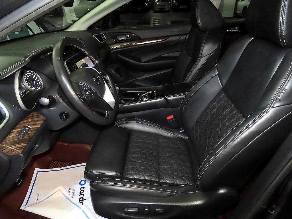 Nissan Maxima - Vista 8