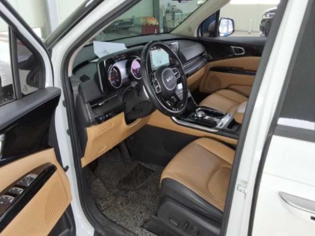 KIA Carnival - Vista 10