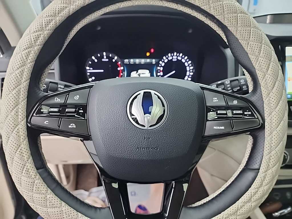 Ssangyong Rexton - Vista 9