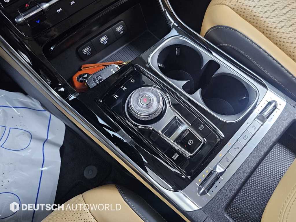 KIA Carnival - Vista 11