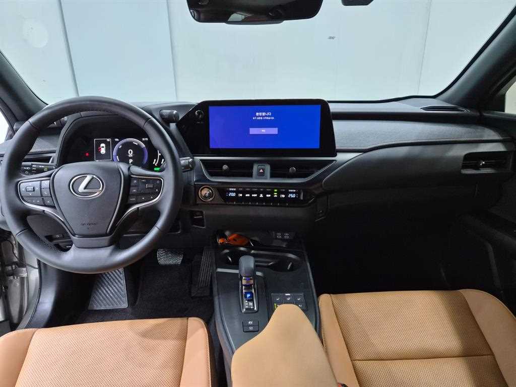 Lexus UX - Vista 7