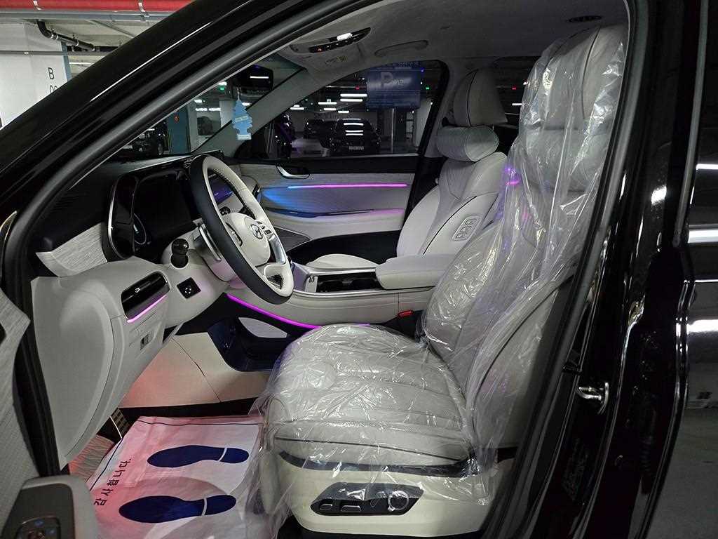 HYUNDAI Palisade - Vista 2
