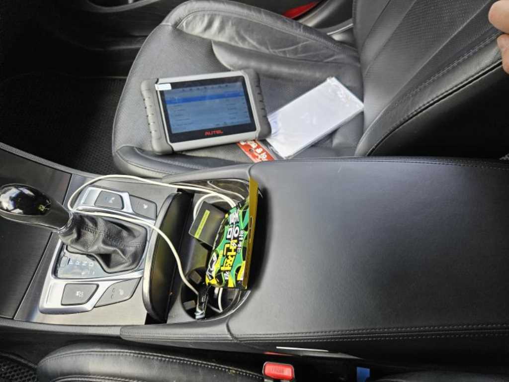 HYUNDAI Grandeur - Vista 10