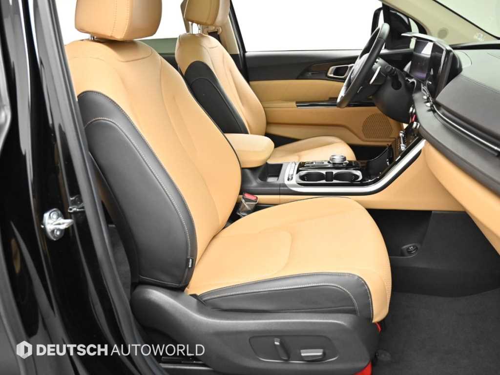 KIA Carnival - Vista 12