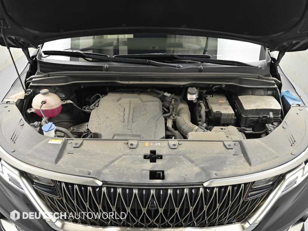 KIA Carnival - Vista 6