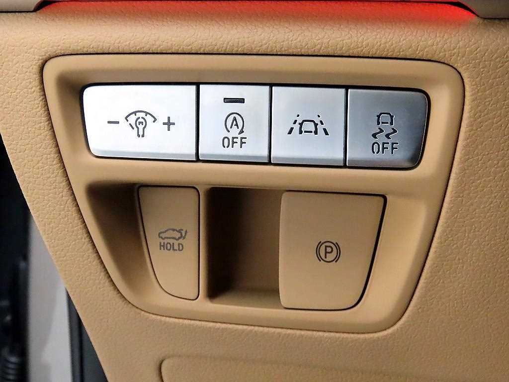 Genesis G80 - Vista 12