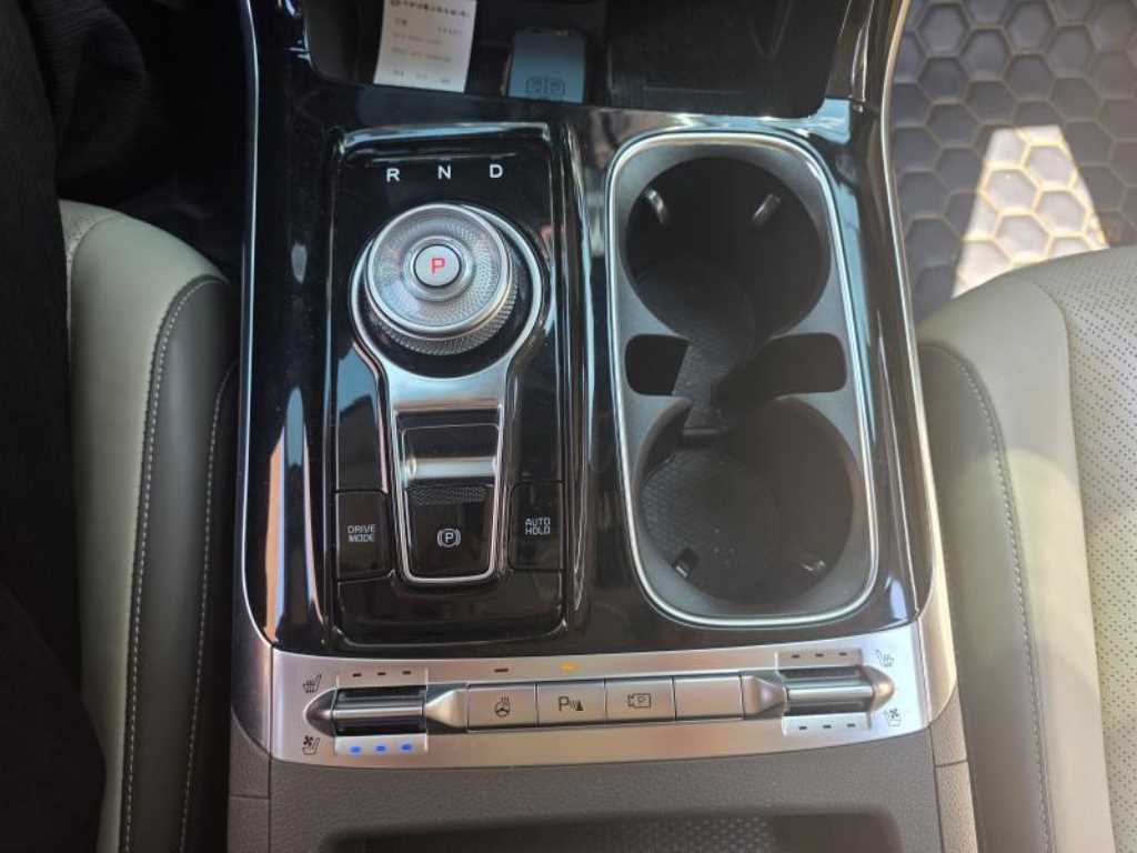 KIA Carnival - Vista 11