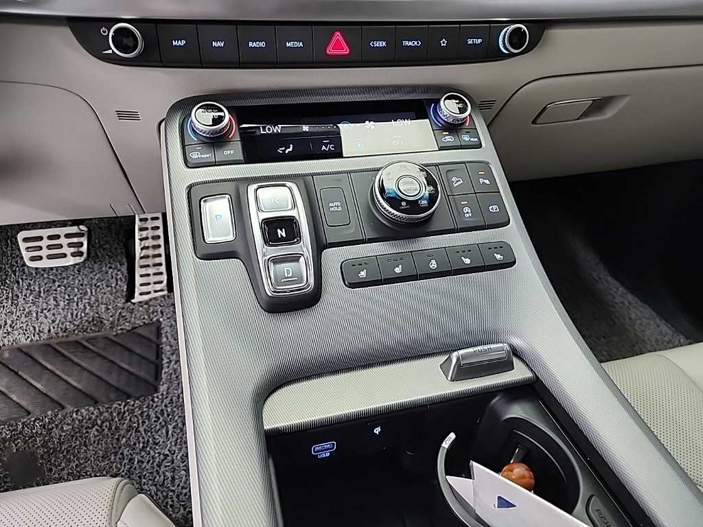 HYUNDAI Palisade - Vista 8