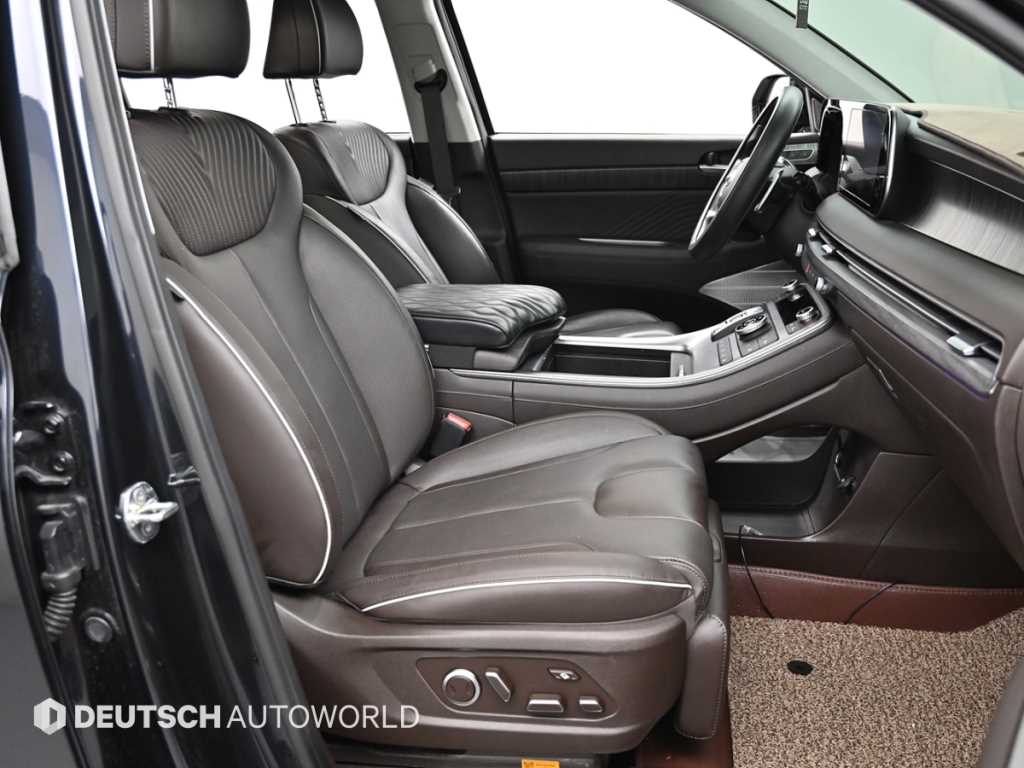 HYUNDAI Palisade - Vista 12