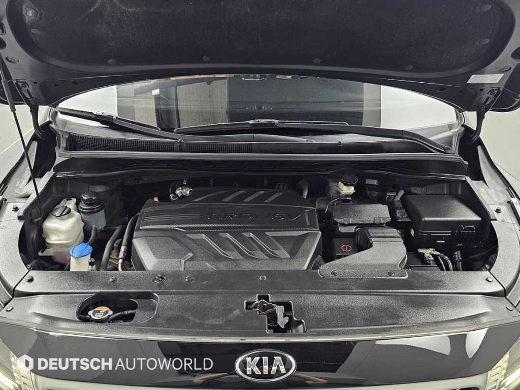 KIA Carnival - Vista 8
