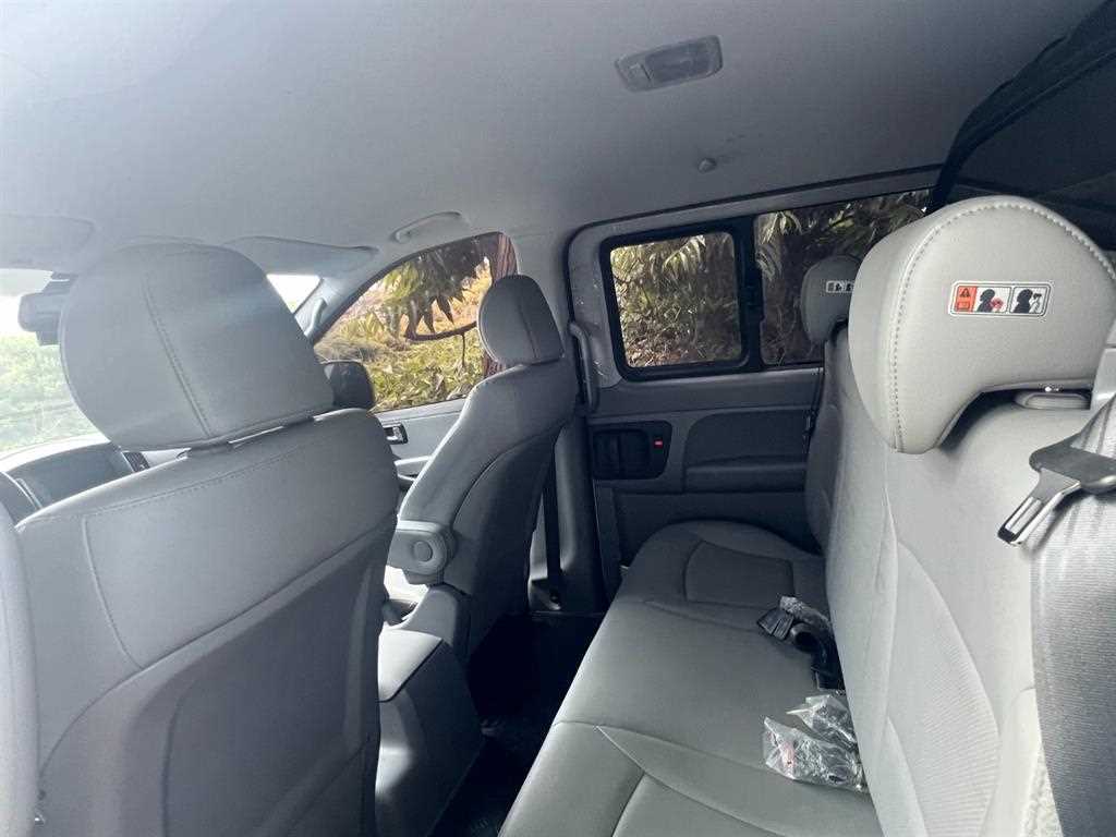 HYUNDAI Starex - Vista 8