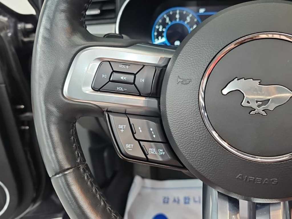 Ford Mustang - Vista 10