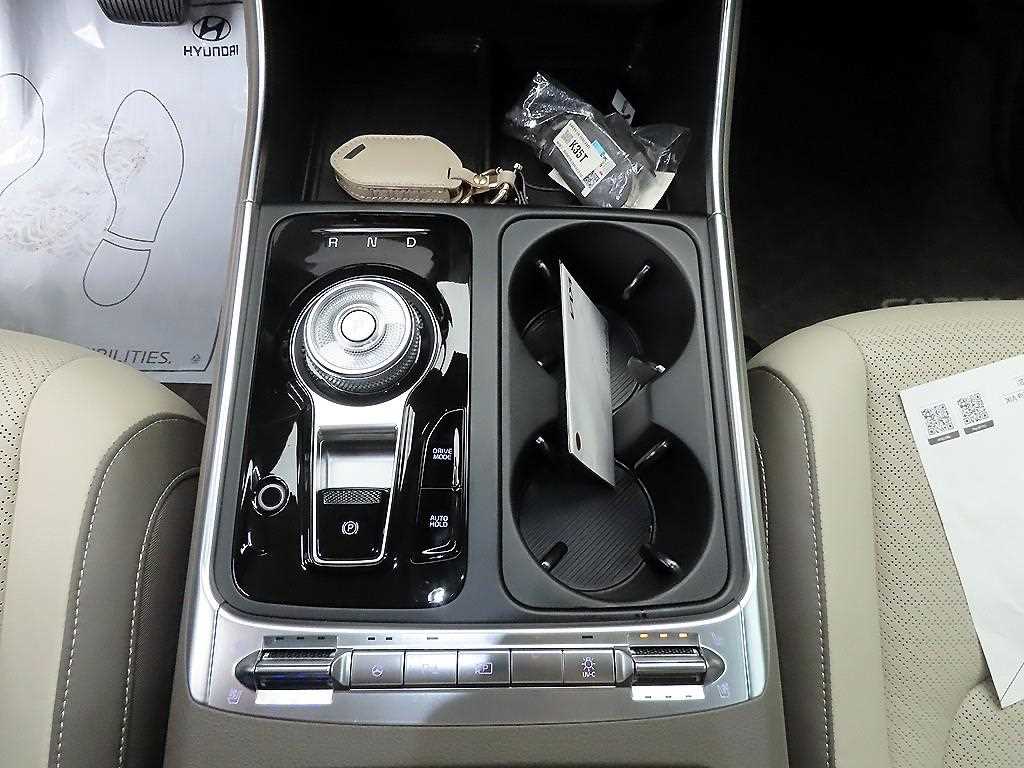 KIA Carnival - Vista 12