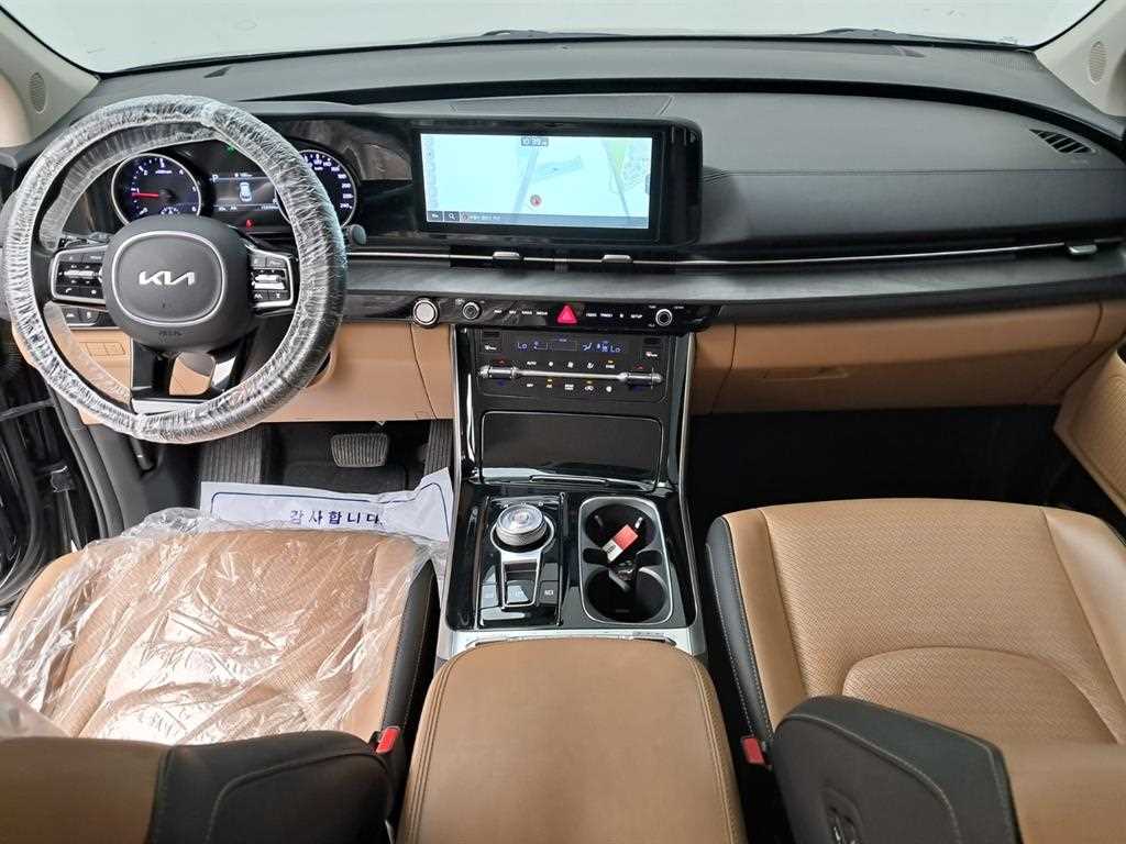 KIA Carnival - Vista 8
