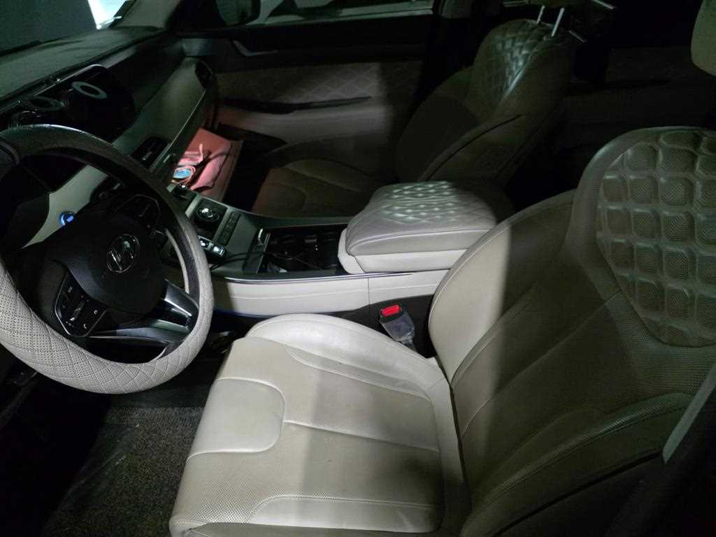 HYUNDAI Palisade - Vista 9