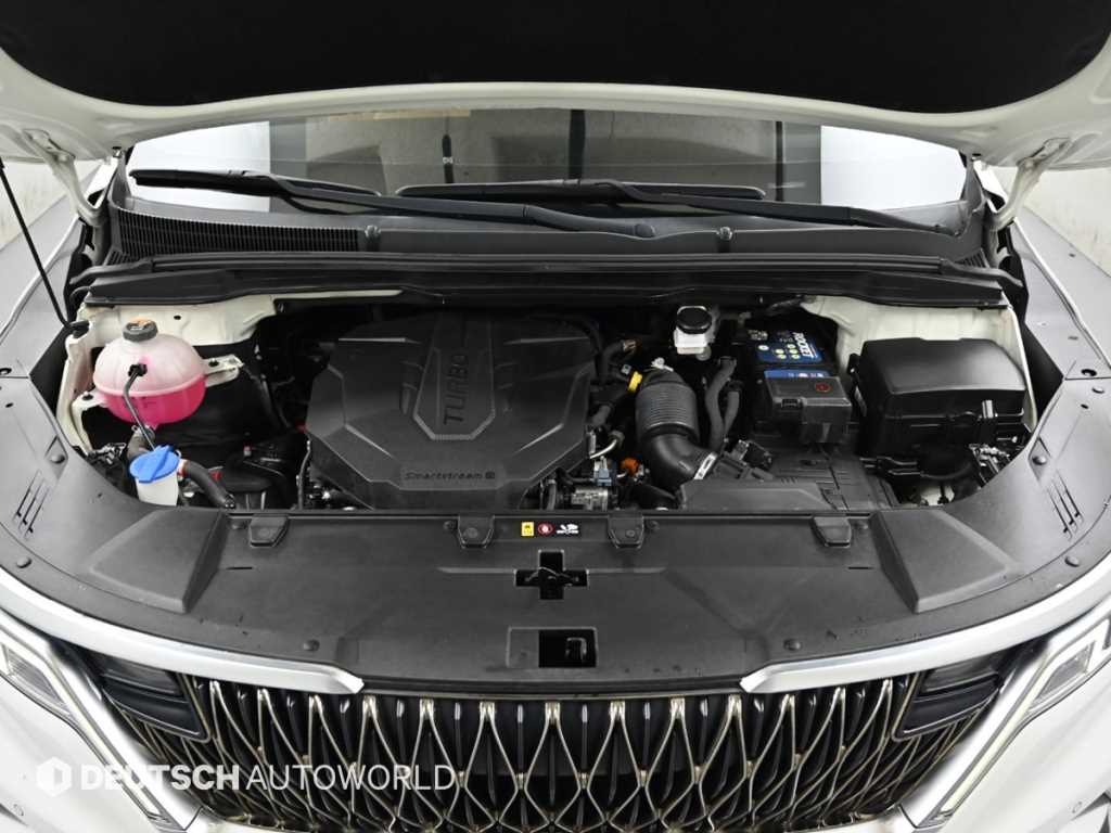 KIA Carnival - Vista 8