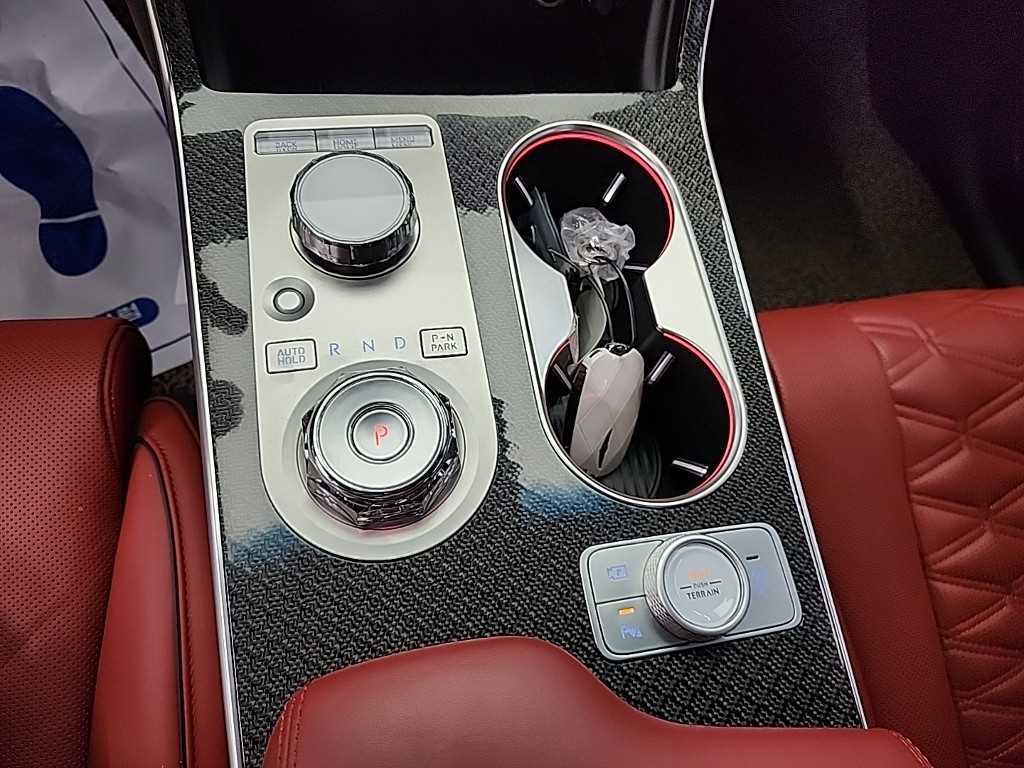 Genesis GV80 - Vista 10