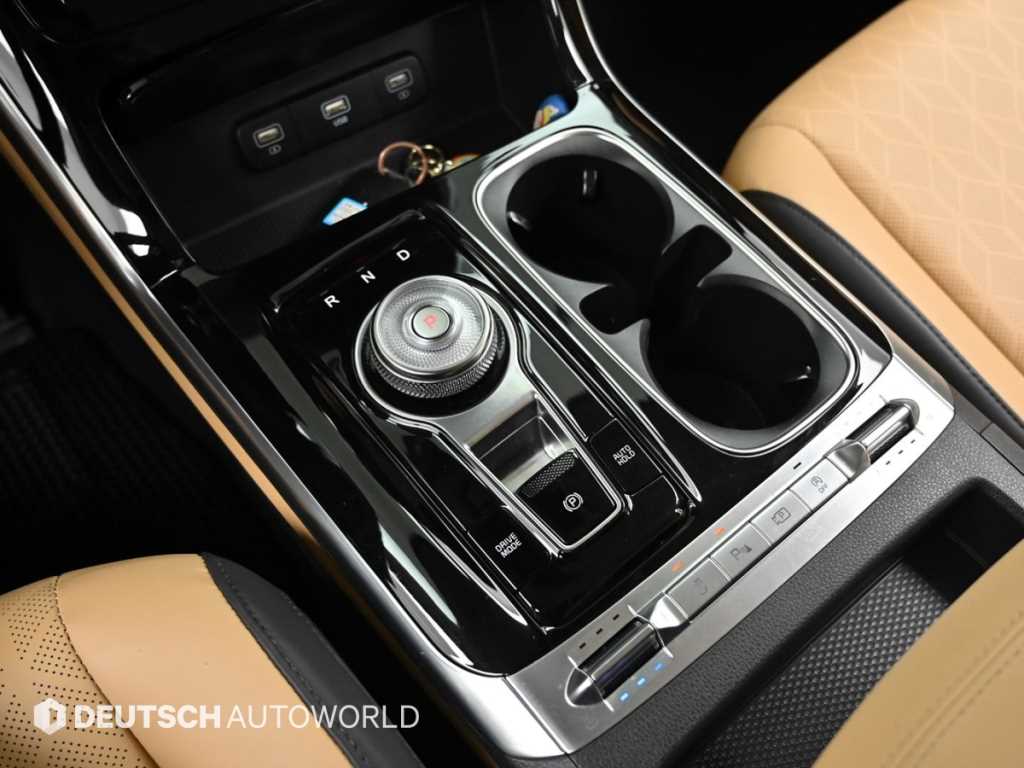 KIA Carnival - Vista 11