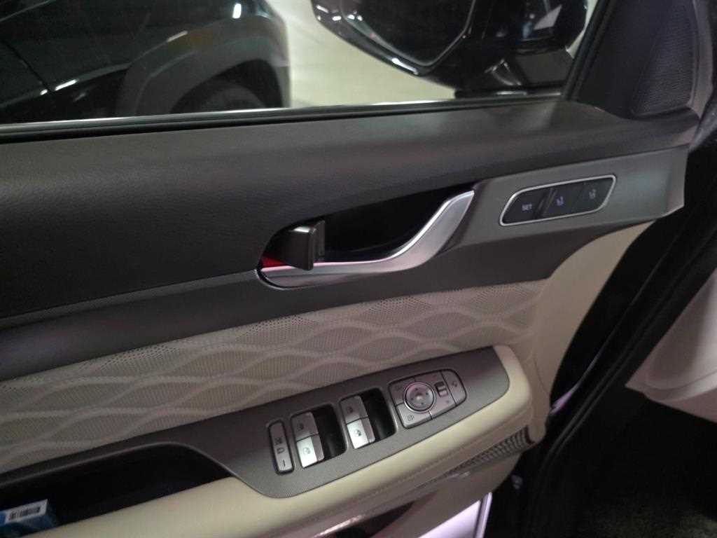 HYUNDAI Palisade - Vista 10