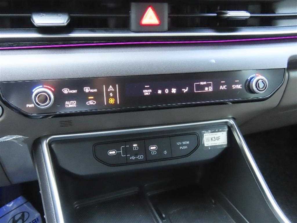 KIA Carnival - Vista 9