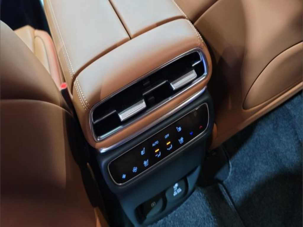 Genesis GV80 - Vista 10