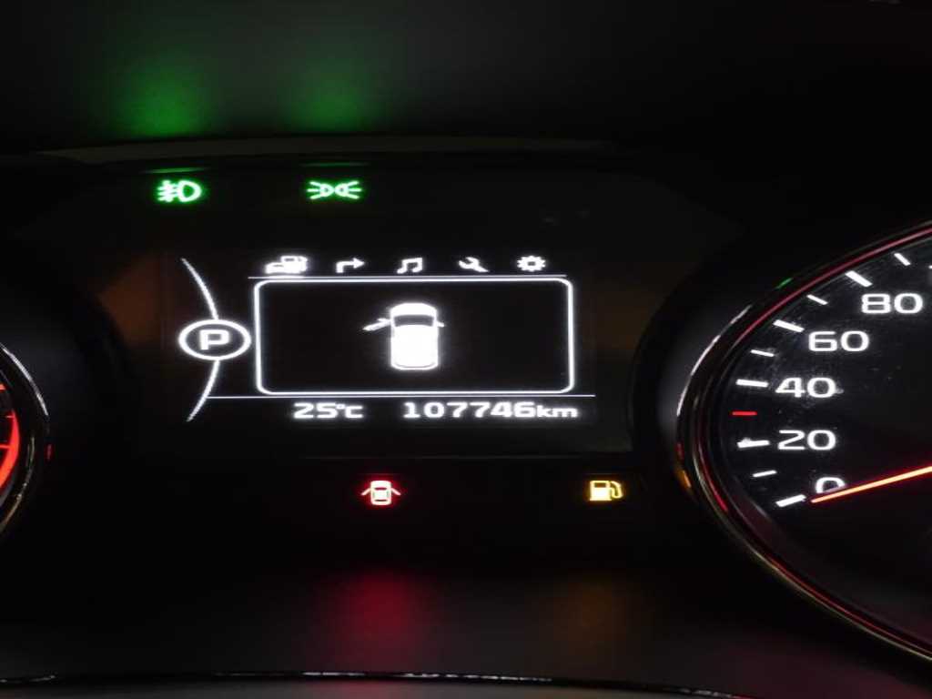 KIA Carnival - Vista 6