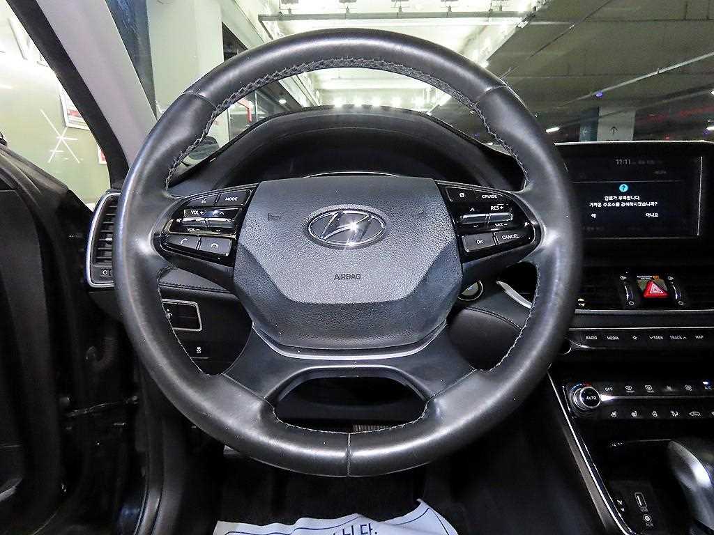 HYUNDAI Grandeur - Vista 10