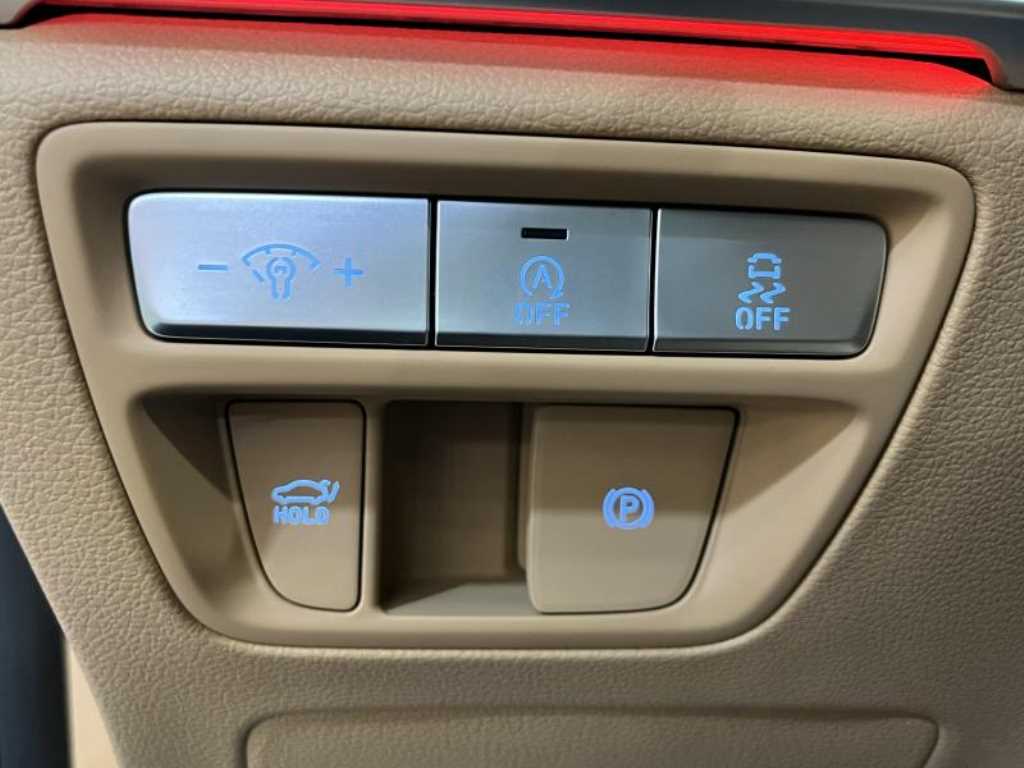 Genesis G80 - Vista 8