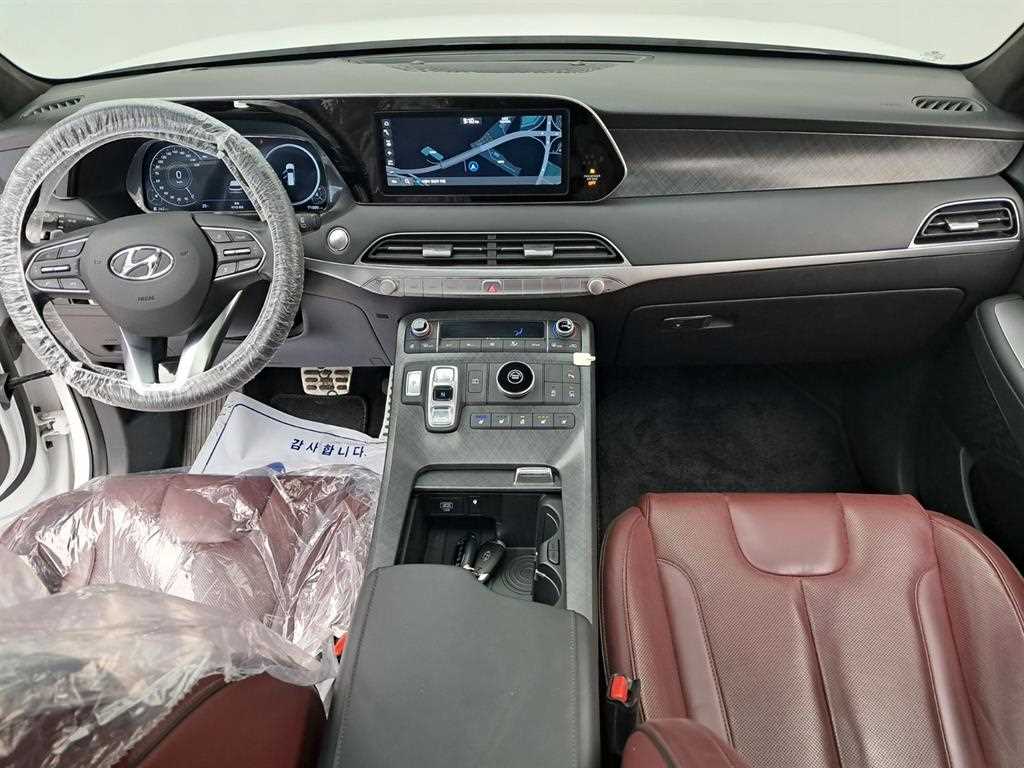 HYUNDAI Palisade - Vista 8