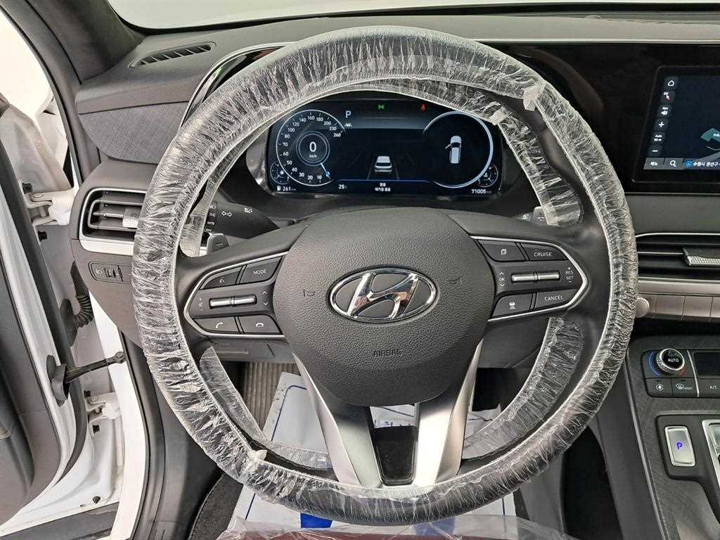 HYUNDAI Palisade - Vista 9