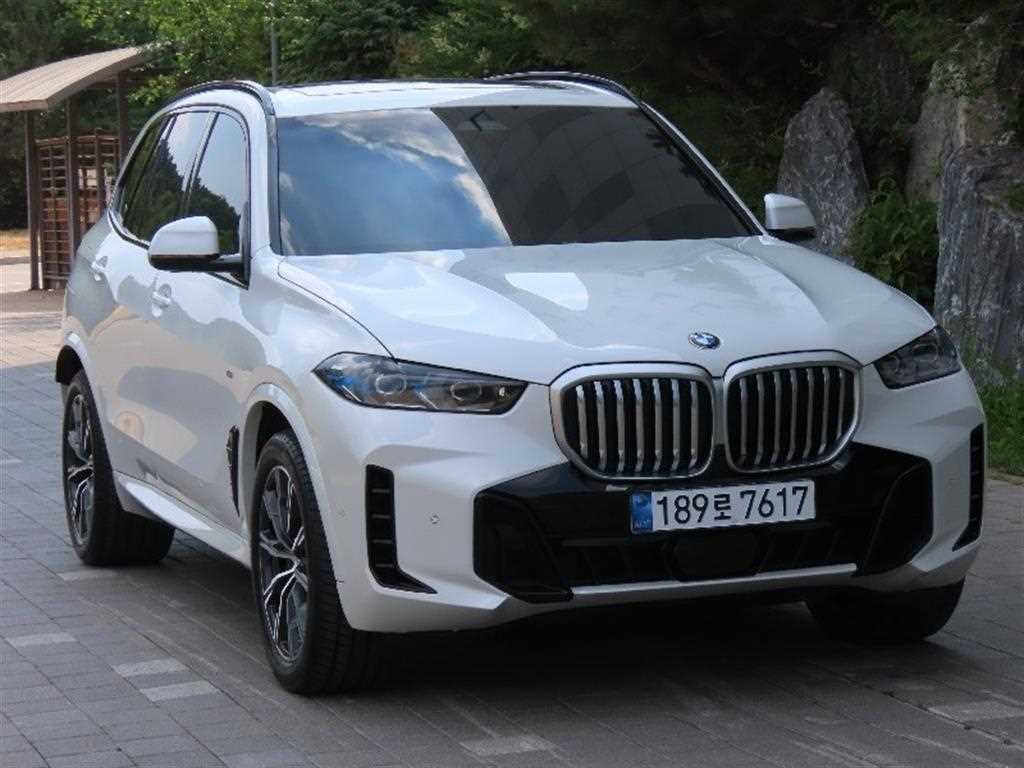 BMW X5 - Vista 2