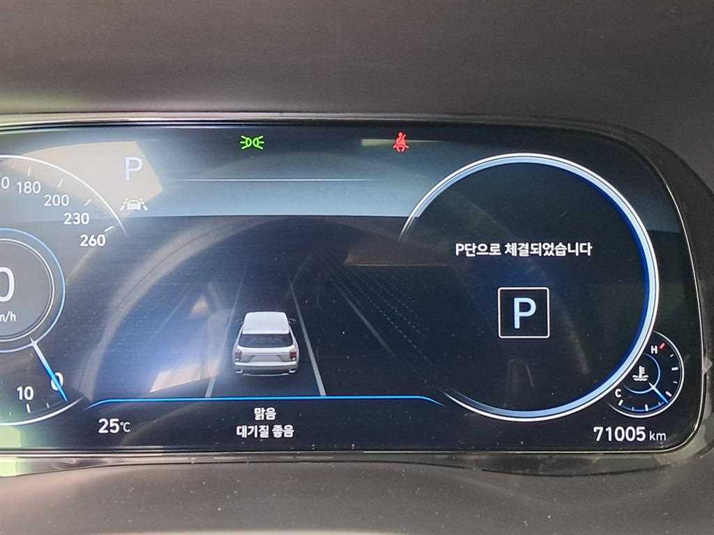 HYUNDAI Palisade - Vista 10