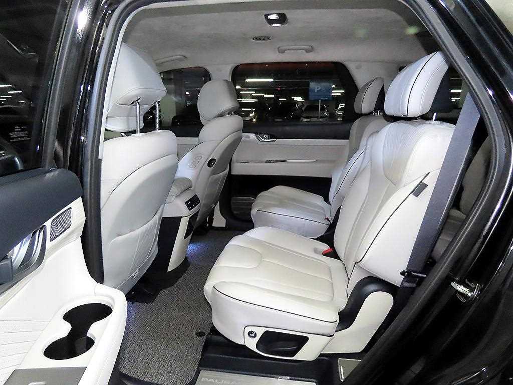 HYUNDAI Palisade - Vista 10