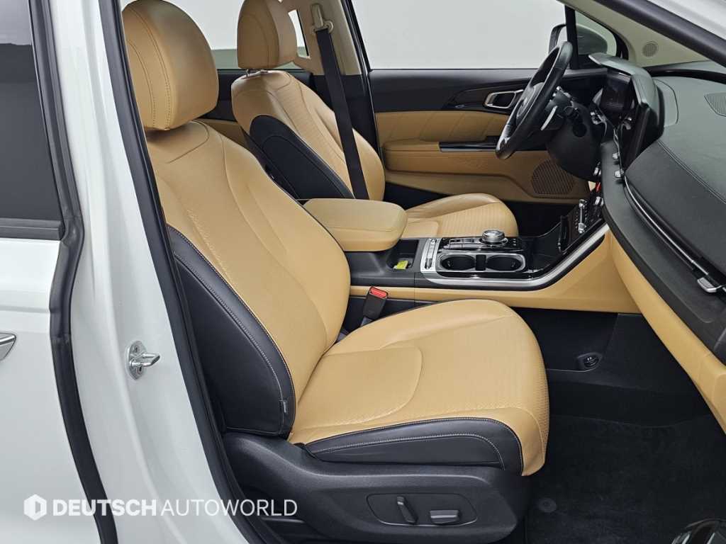 KIA Carnival - Vista 12