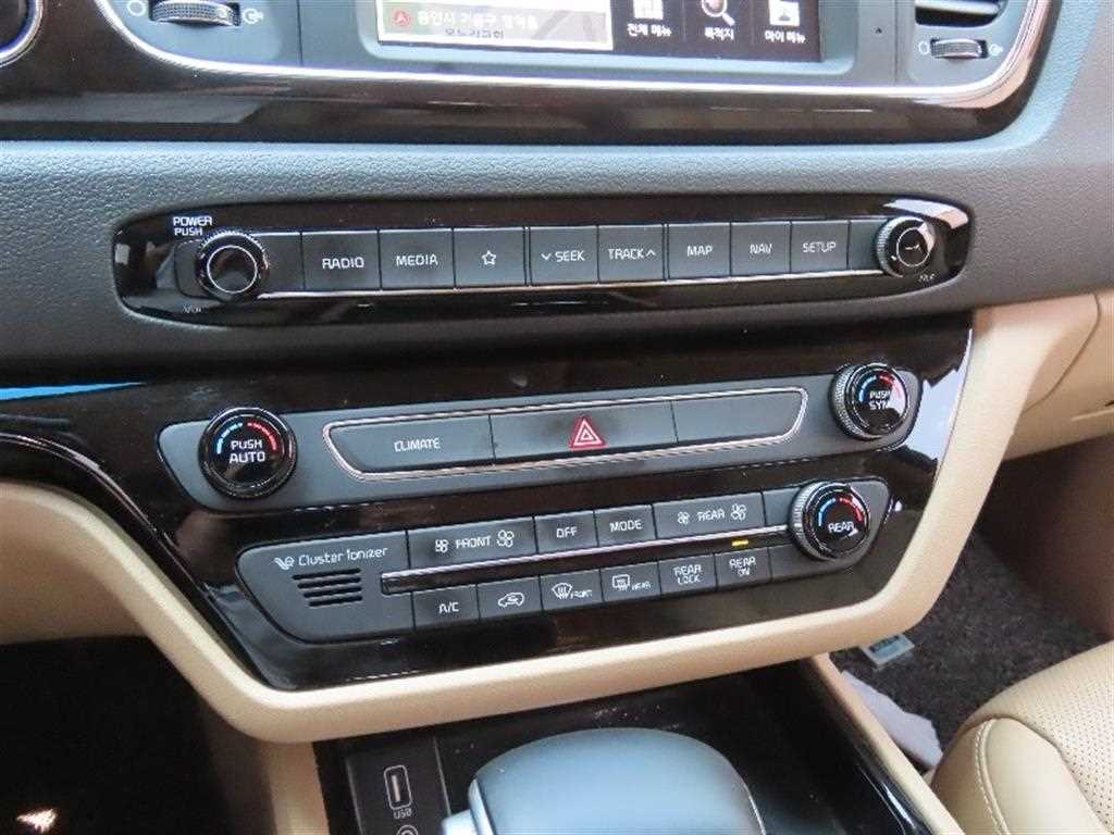 KIA Carnival - Vista 9