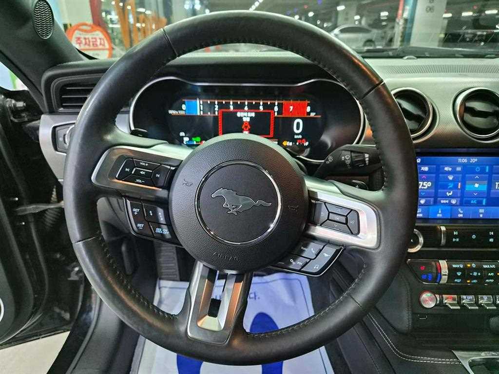 Ford Mustang - Vista 10