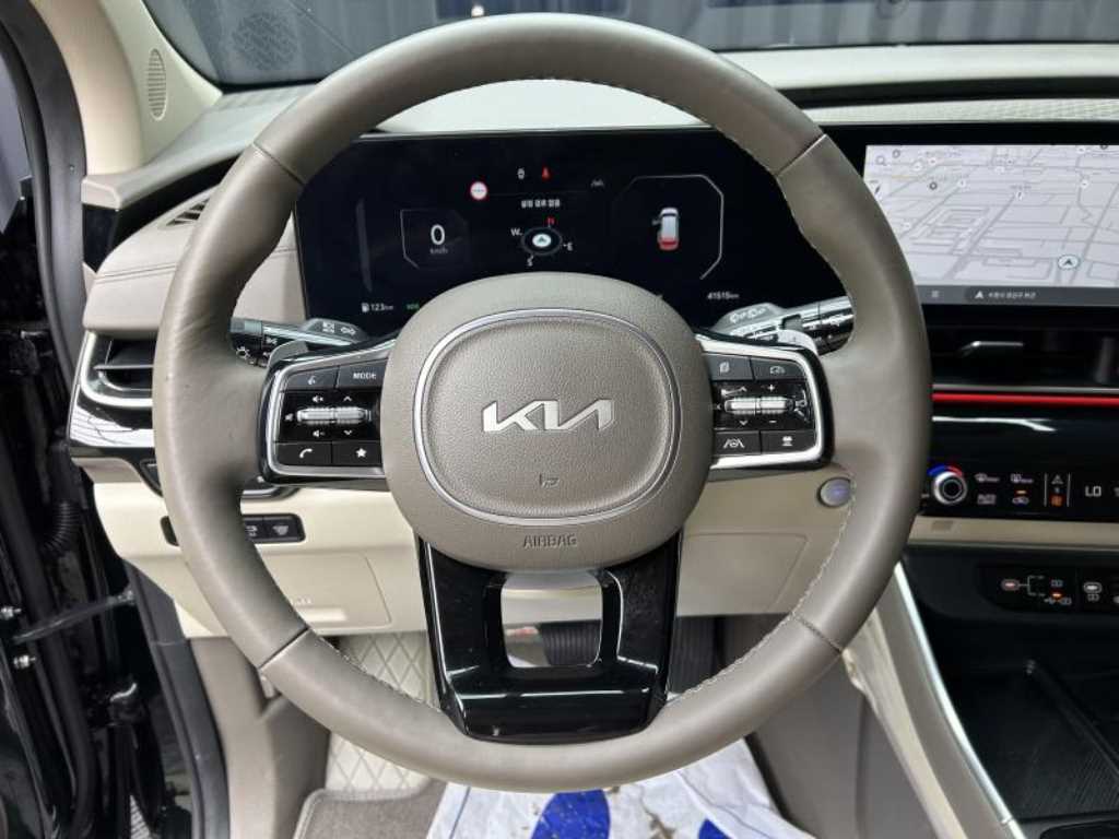 KIA Carnival - Vista 11