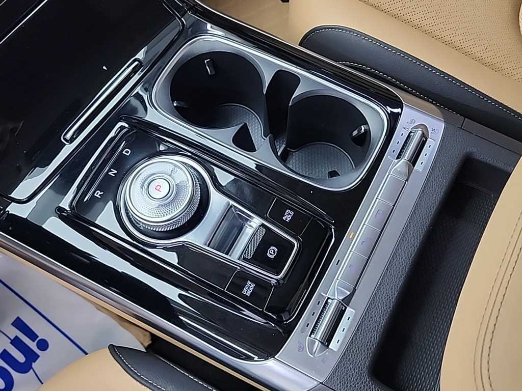 KIA Carnival - Vista 10