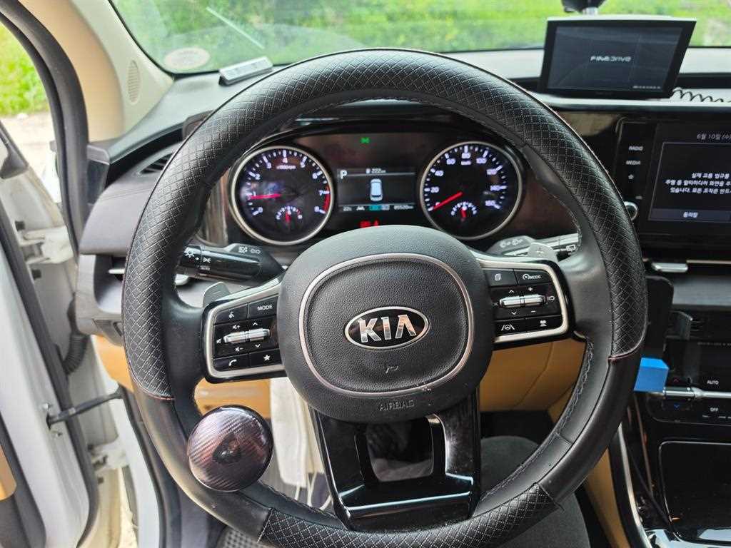 KIA Carnival - Vista 11