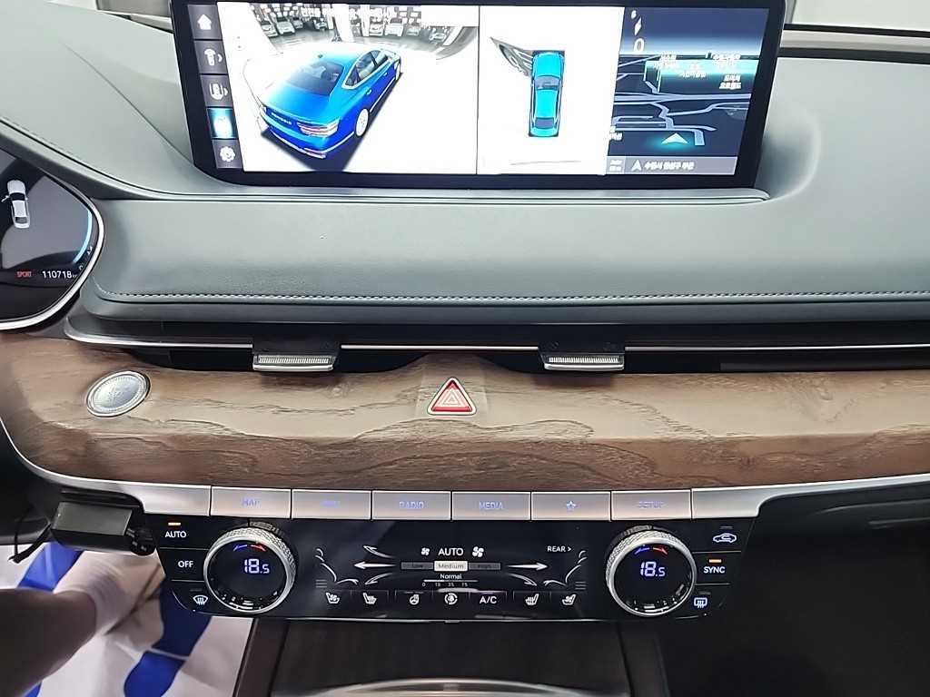 Genesis G80 - Vista 12