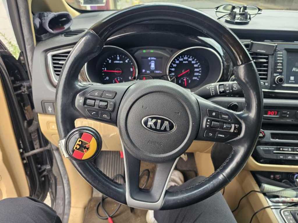 KIA Carnival - Vista 8